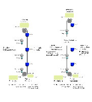 hydrogen_float_theory2.jpg