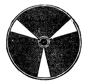 click to enlarge